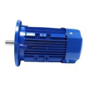 Эл.двигатель STg 80-4D (МЭП) (1,5 кВт, 1400 обмин, 380В) исп.3081 спец.вал